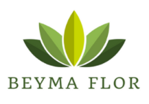 Diseño-logo1